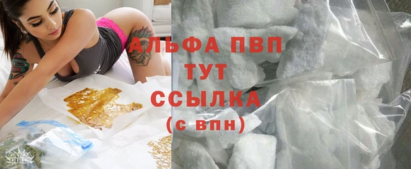 мяу мяу мука Абаза