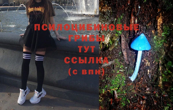 мяу мяу мука Абаза