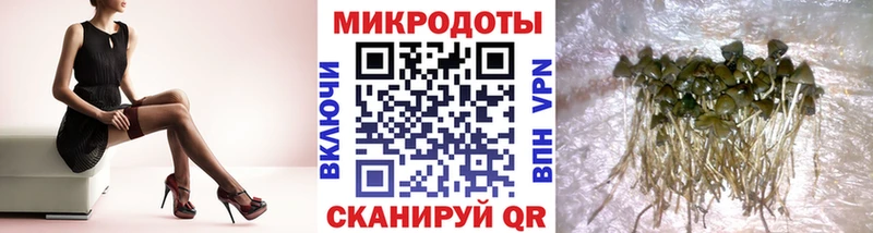 площадка какой сайт  где купить наркоту  Карасук  Псилоцибиновые грибы Magic Shrooms 